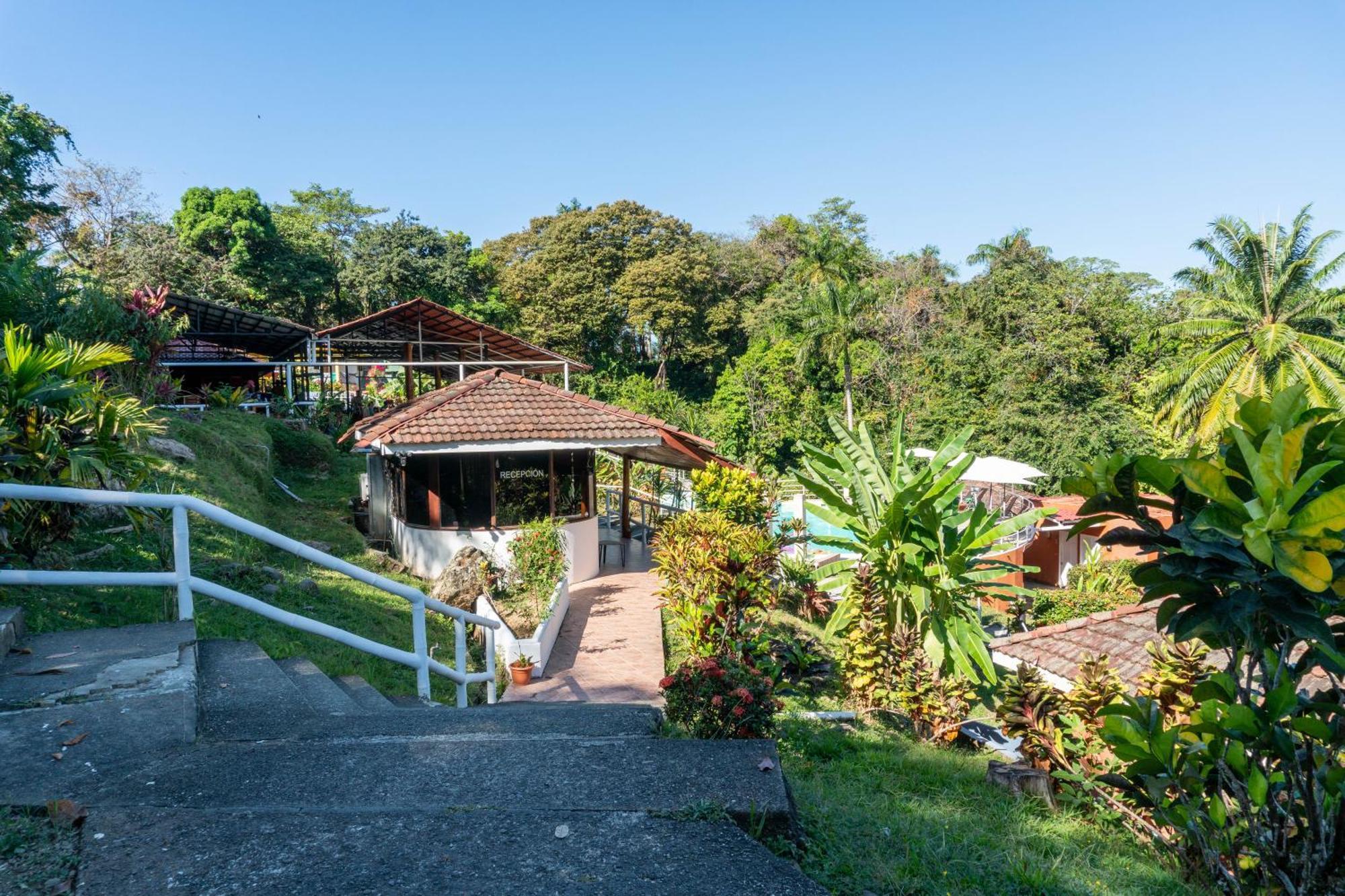 Bongo - Adults Only Hotel Manuel Antonio Buitenkant foto